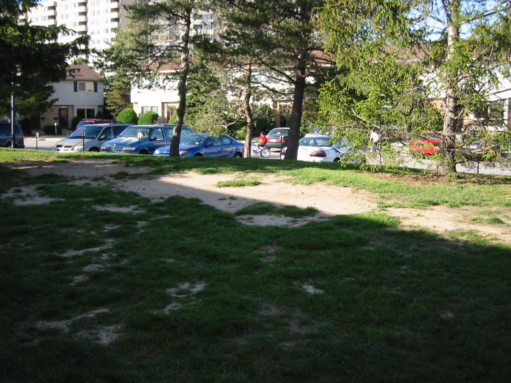 hv-lawn-damage-14.JPG