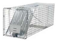 Standard Raccoon trap 