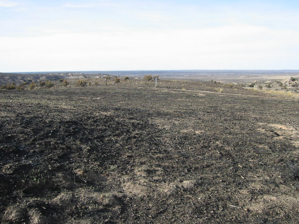 Results of raging fires in Texas