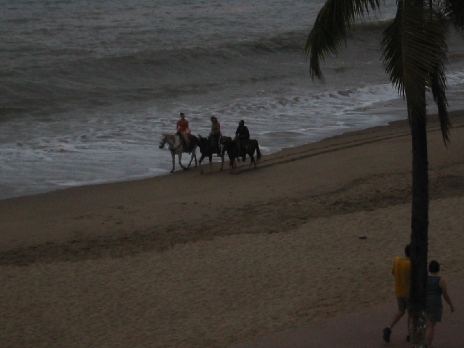 Puerto Vallarta -horseback riding along the Malecon at Cheeky Monekys