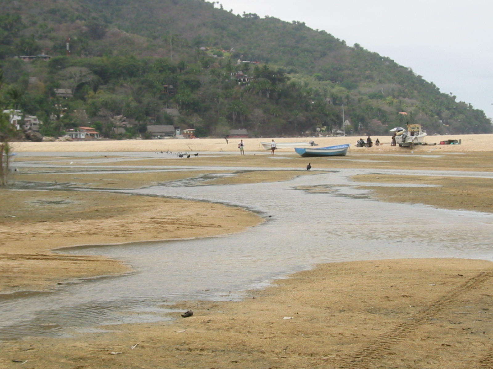 Yelapa 