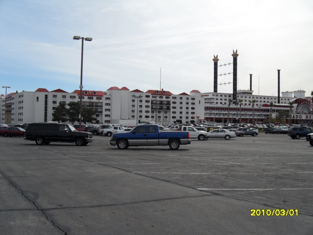 Colorado Bell, Laughlin, Nevada , thousands of fish 